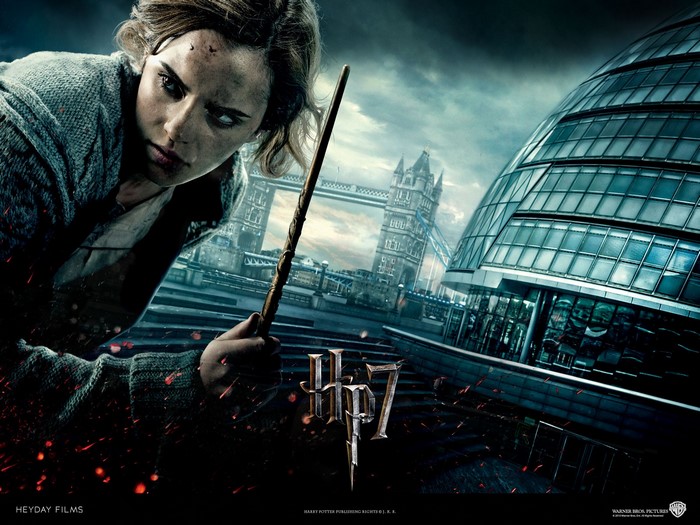 Hermione Granger from Harry Potter 7