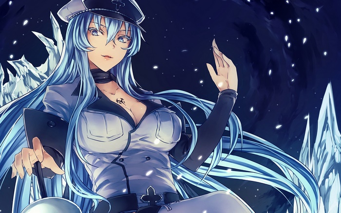 Esdeath from Akame Ga Kill! in a uniform