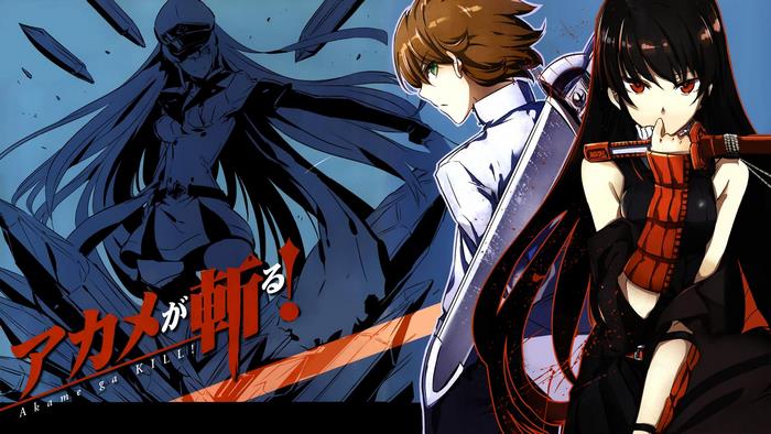 Esdeath and Akame from Akame ga Kill!