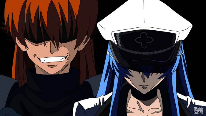 Esdeath and another character from Akame Ga Kill!