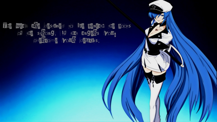 Esdeath from Akame Ga Kill! with quote