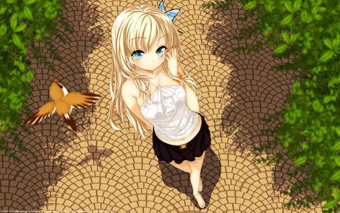 Sena Kashiwazaki from Haganai