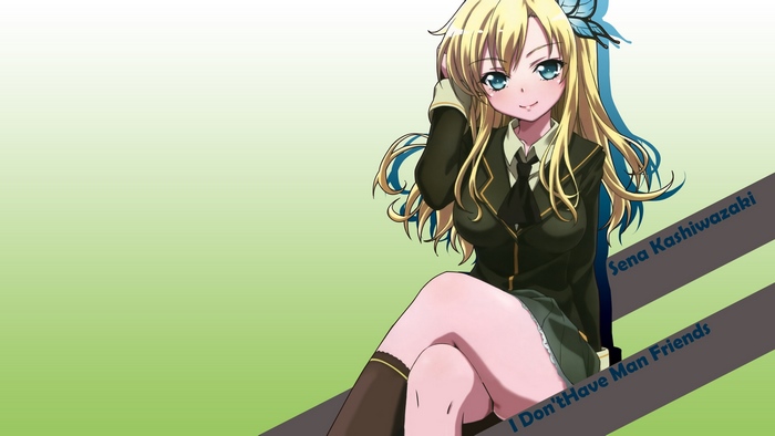 Sena Kashiwazaki from I Don't Have Man Friends