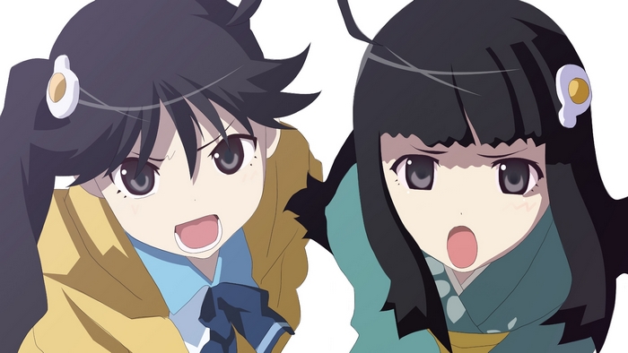Karen Araragi from Monogatari Series
