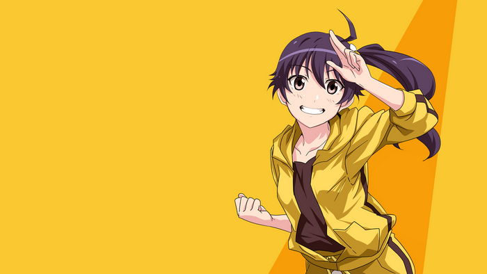 Karen Araragi from Monogatari Series