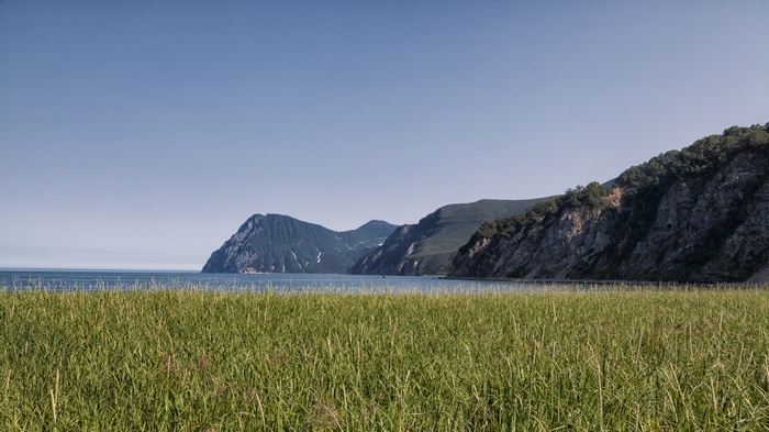 Grassy field with mountains and ocean