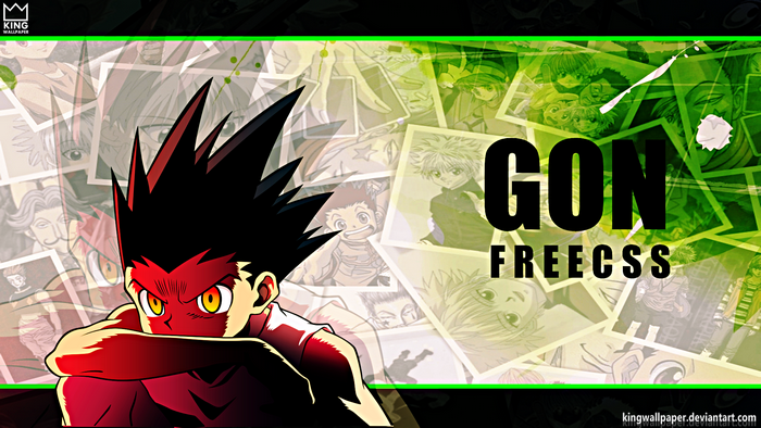 Gon Freecss from Hunter x Hunter