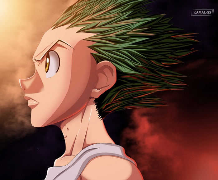 Gon Freecss from Hunter x Hunter