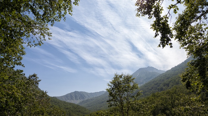 Framed view of mountains and sky through trees