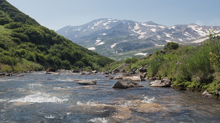 Bear in a river with mountains in the background