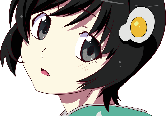 Tsukihi Araragi from Monogatari Series