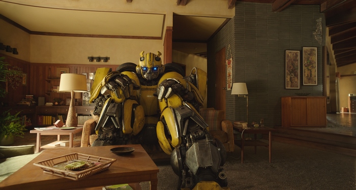 Bumblebee in a living room