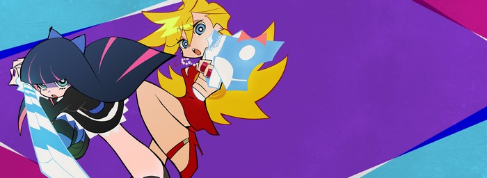 Anarchy Stocking and Panty