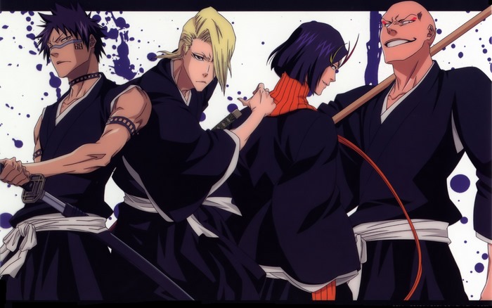 Ikkaku Madarame and other Bleach characters