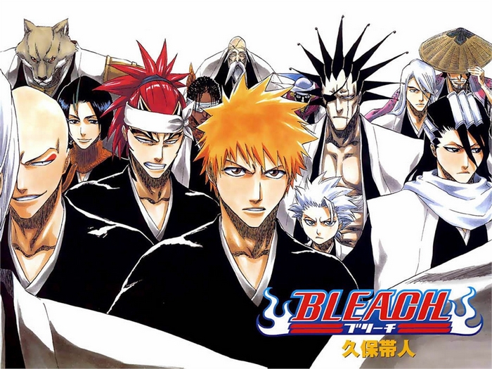 Bleach characters group portrait