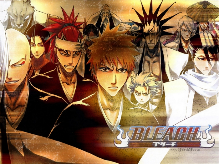 Bleach characters group portrait