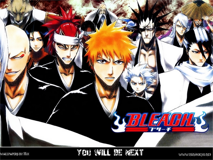 Bleach characters group shot