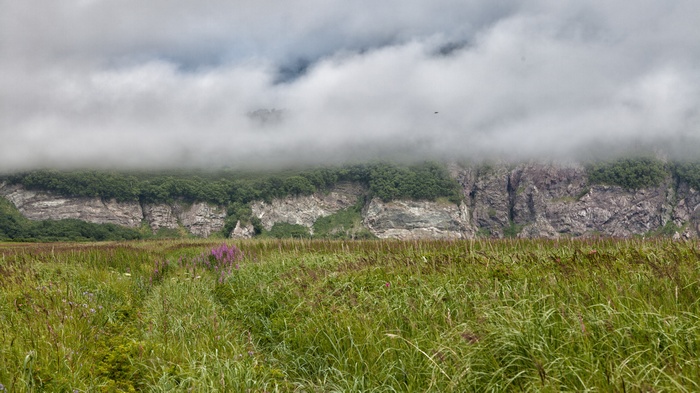 Grassy field with cliffs and fog