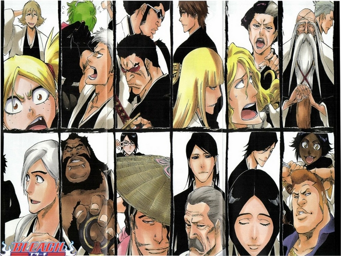 Bleach characters group portrait