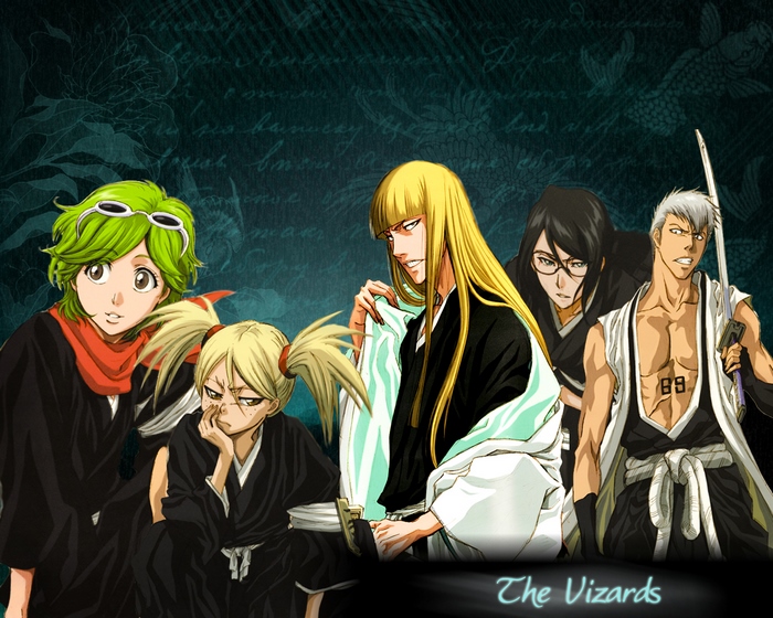 The Vizards from Bleach