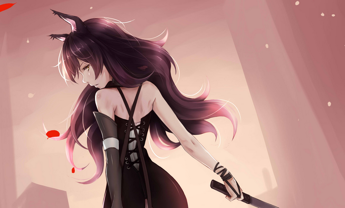 Blake Belladonna from RWBY