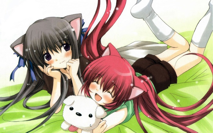Two anime girls with cat ears and a dog plushie