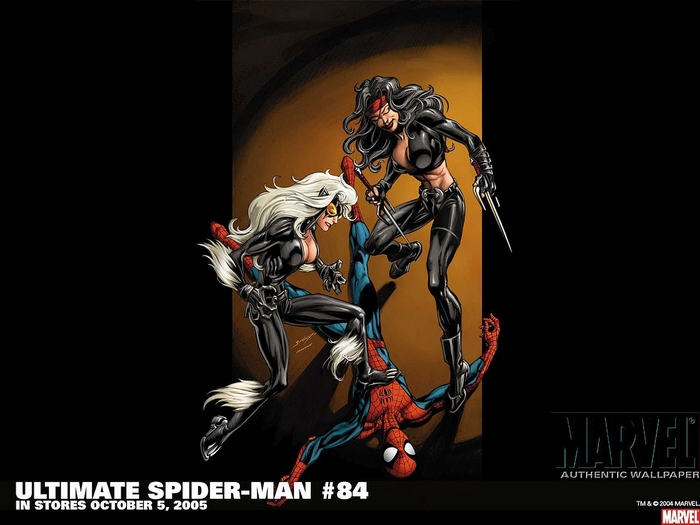 Spider-Man, Black Cat, and Elektra from Ultimate Spider-Man