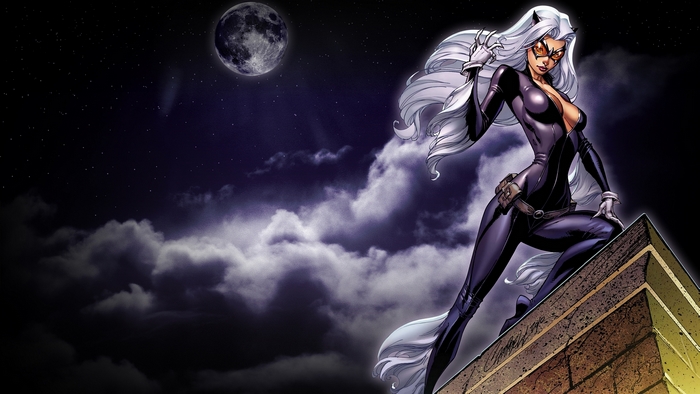 Black Cat on a rooftop at night