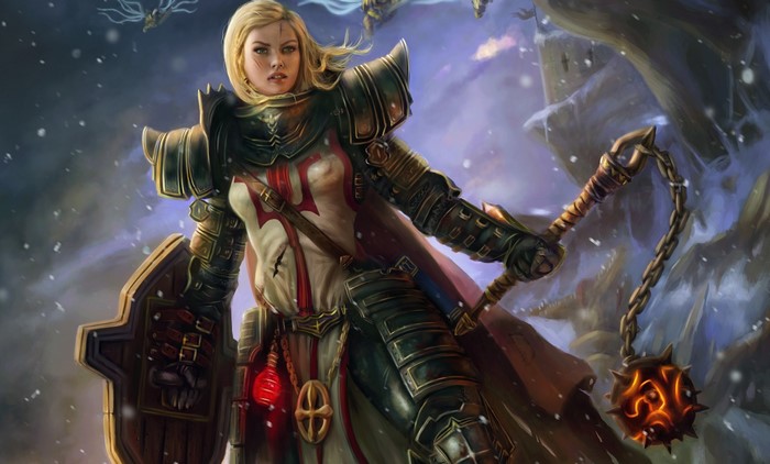 Crusader from Diablo III in armor with mace and shield