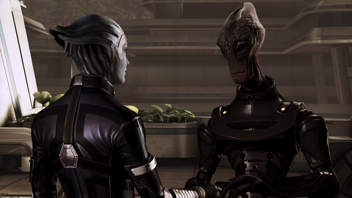 Liara T'Soni and an Asari in Mass Effect