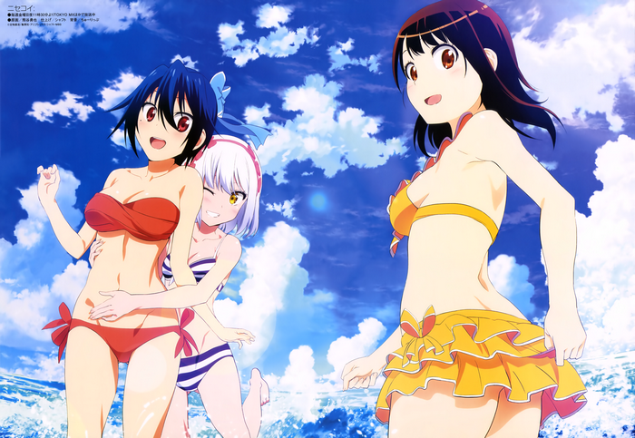 Nisekoi Seishirou Tsugumi