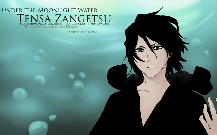 Tensa Zangetsu from Bleach