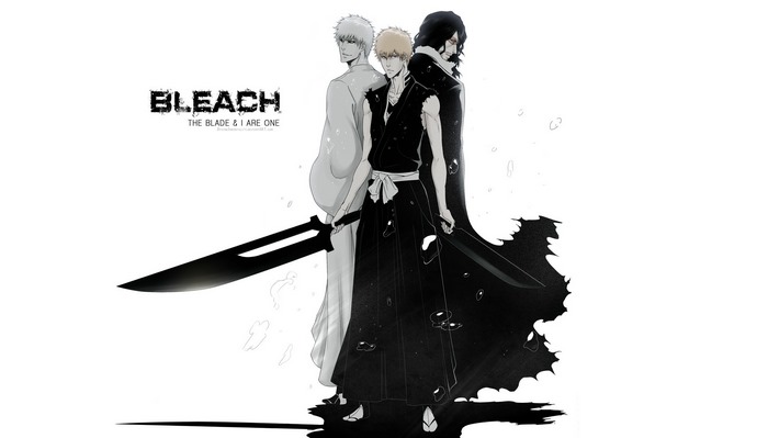 Bleach: The Blade & I Are One