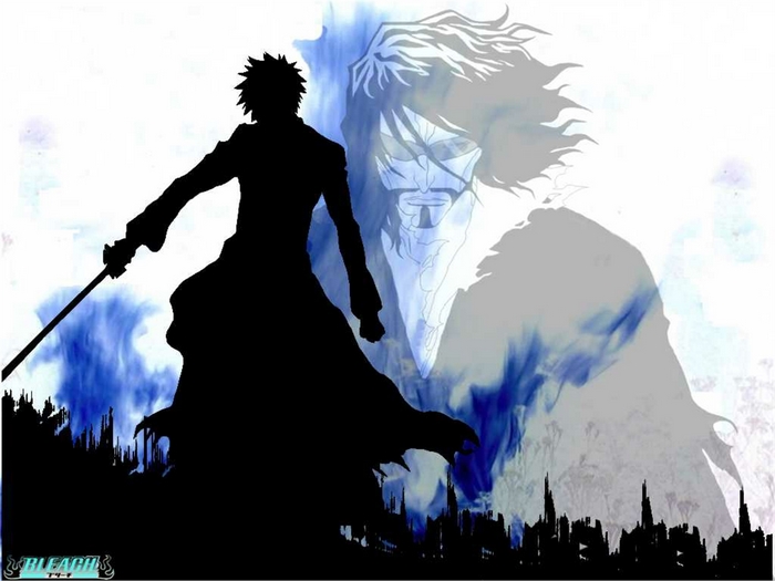Ichigo Kurosaki and Sosuke Aizen from Bleach