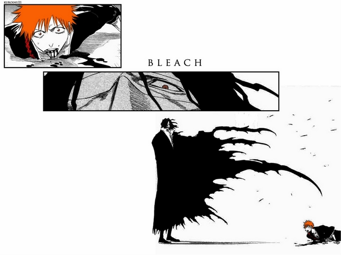 Ichigo Kurosaki and Zangetsu from Bleach
