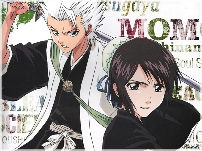 Toshiro Hitsugaya and Momo Hinamori from Bleach