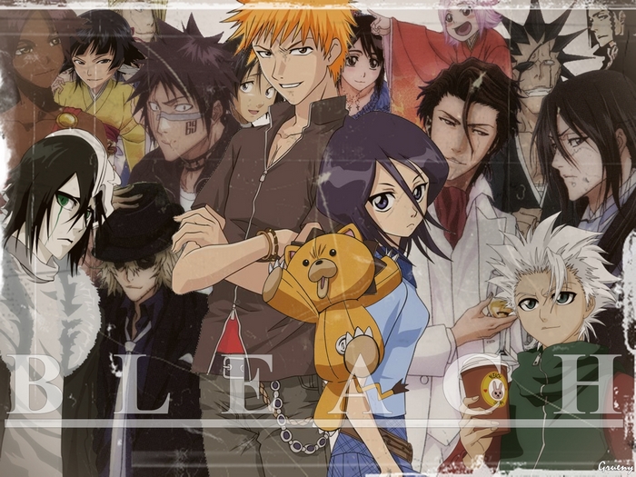 Bleach characters with Kon