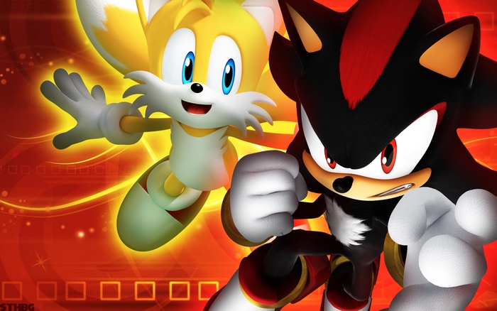 Dynamic Shadow the Hedgehog and Tails in Action
