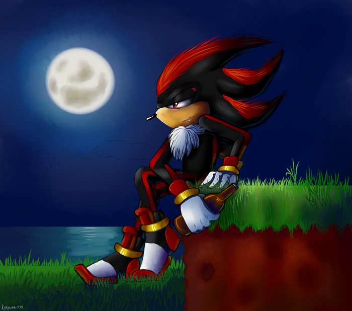 Shadow the Hedgehog with a bottle under the moon