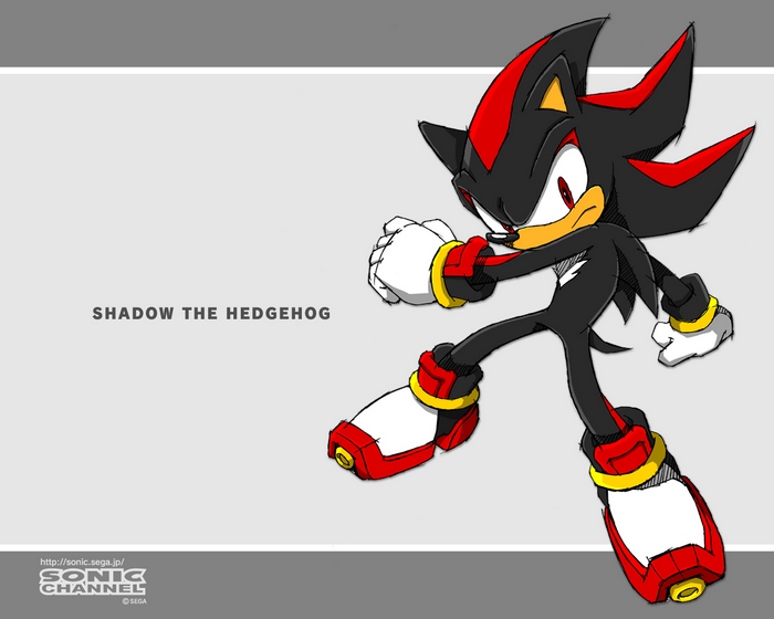 Shadow the Hedgehog from Sonic the Hedgehog