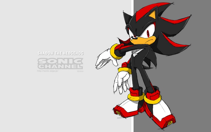 Shadow the Hedgehog from Sonic Channel