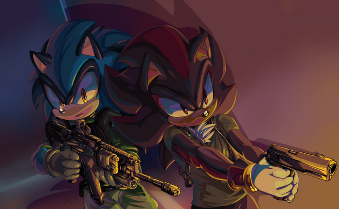 Shadow the Hedgehog Ready for Battle