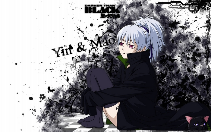 Yin from Darker Than Black