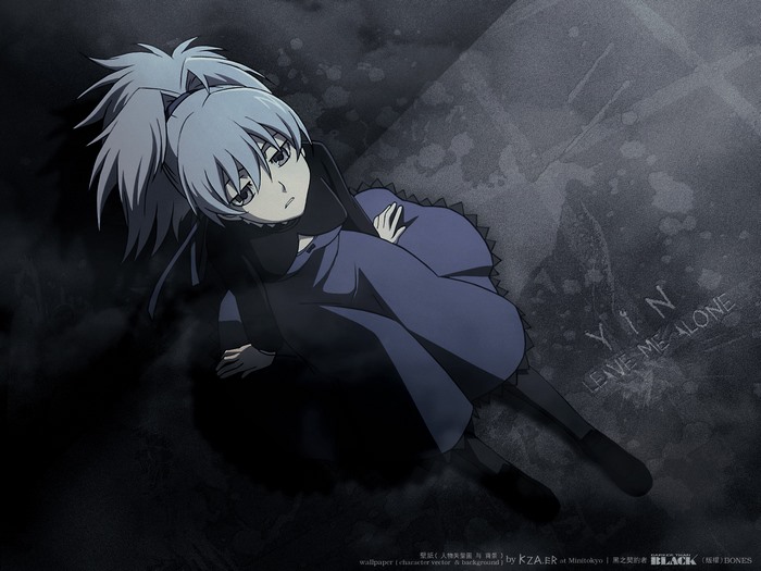 Yin from Darker Than Black