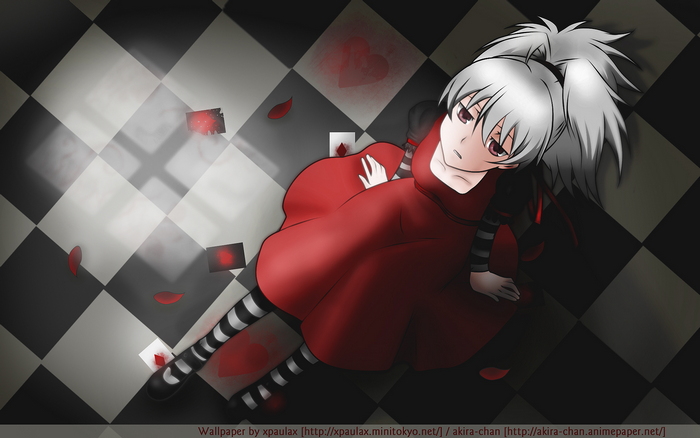 Yin from Darker Than Black