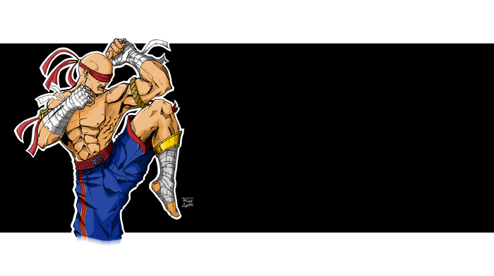 Lee Sin from League of Legends