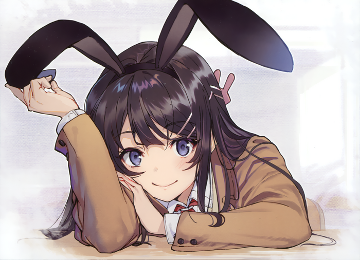 Mai Sakurajima Seishun Buta Yarou Wa Bunny Girl Senpai No Yume Wo 