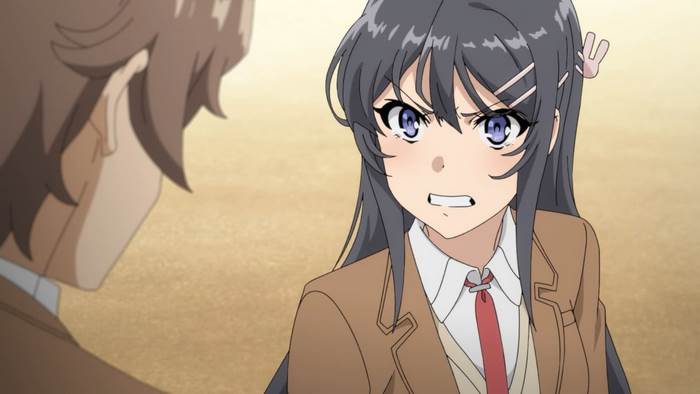 Mai Sakurajima from Rascal Does Not Dream of Bunny Girl Senpai