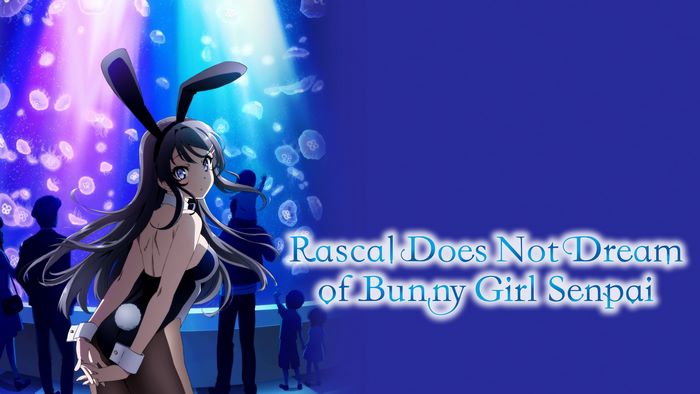 Mai Sakurajima from Rascal Does Not Dream of Bunny Girl Senpai