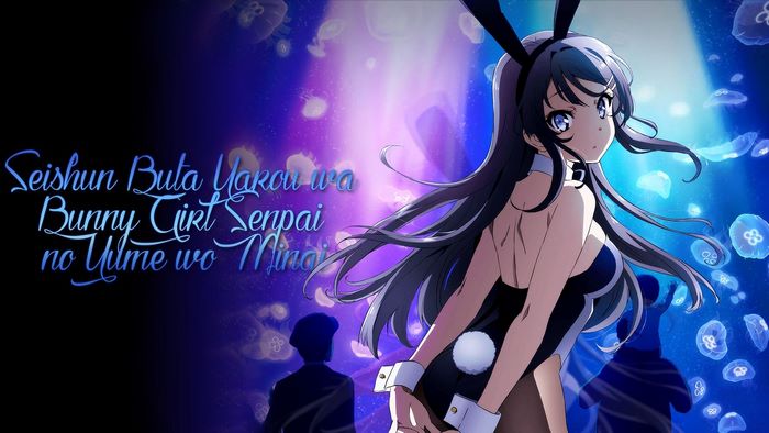 Mai Sakurajima from Seishun Buta Yarou wa Bunny Girl Senpai no Yume wo Minai